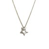 Γυναικείο κολιέ λευκόχρυσο 14K με αστέρι 2 K0142W14 3 Γυναικείο κολιέ λευκόχρυσο 14K με αστέρι watchbox.gr